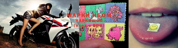 СК Михайловск