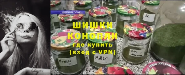 МДПВ Михайлов
